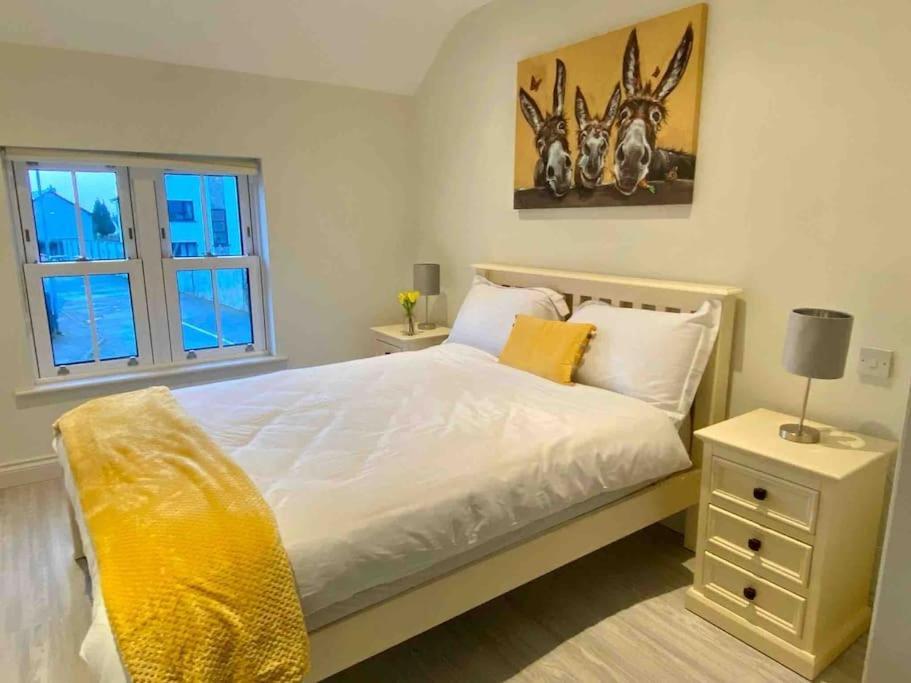Modern Family Home Castleisland Extérieur photo